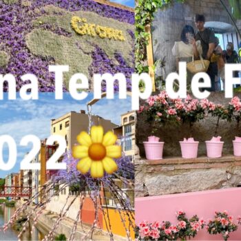 スペインのお花祭りINジローナ Girona temp de flors🌼